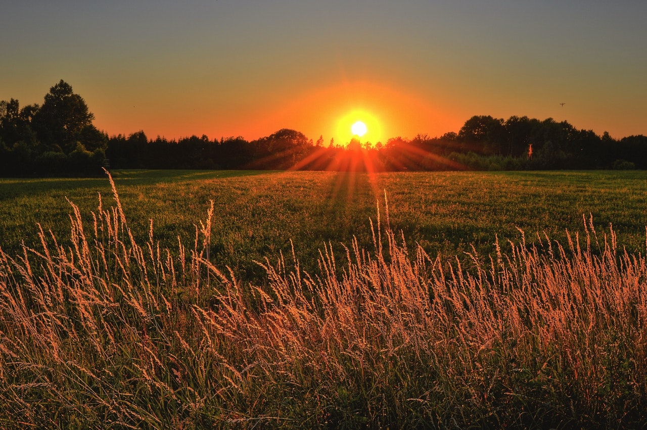 Brown And Green Grass Field During Sunset 1237119